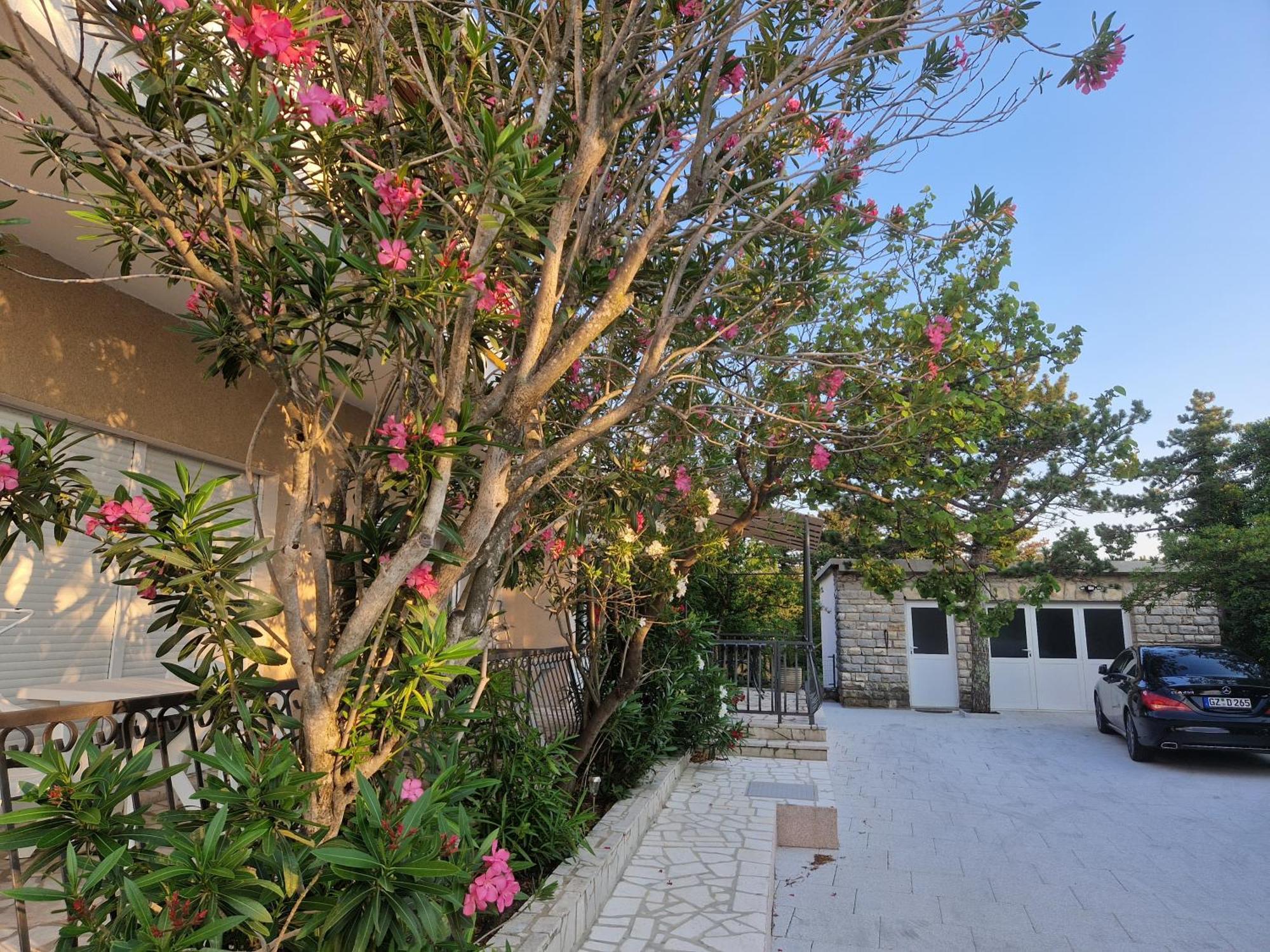 Apartment Sophie - 67m2- Grill - Garden
